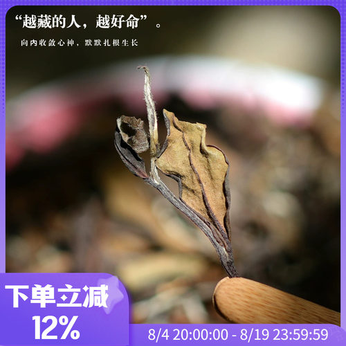 磻溪核心产区2019老树贡眉