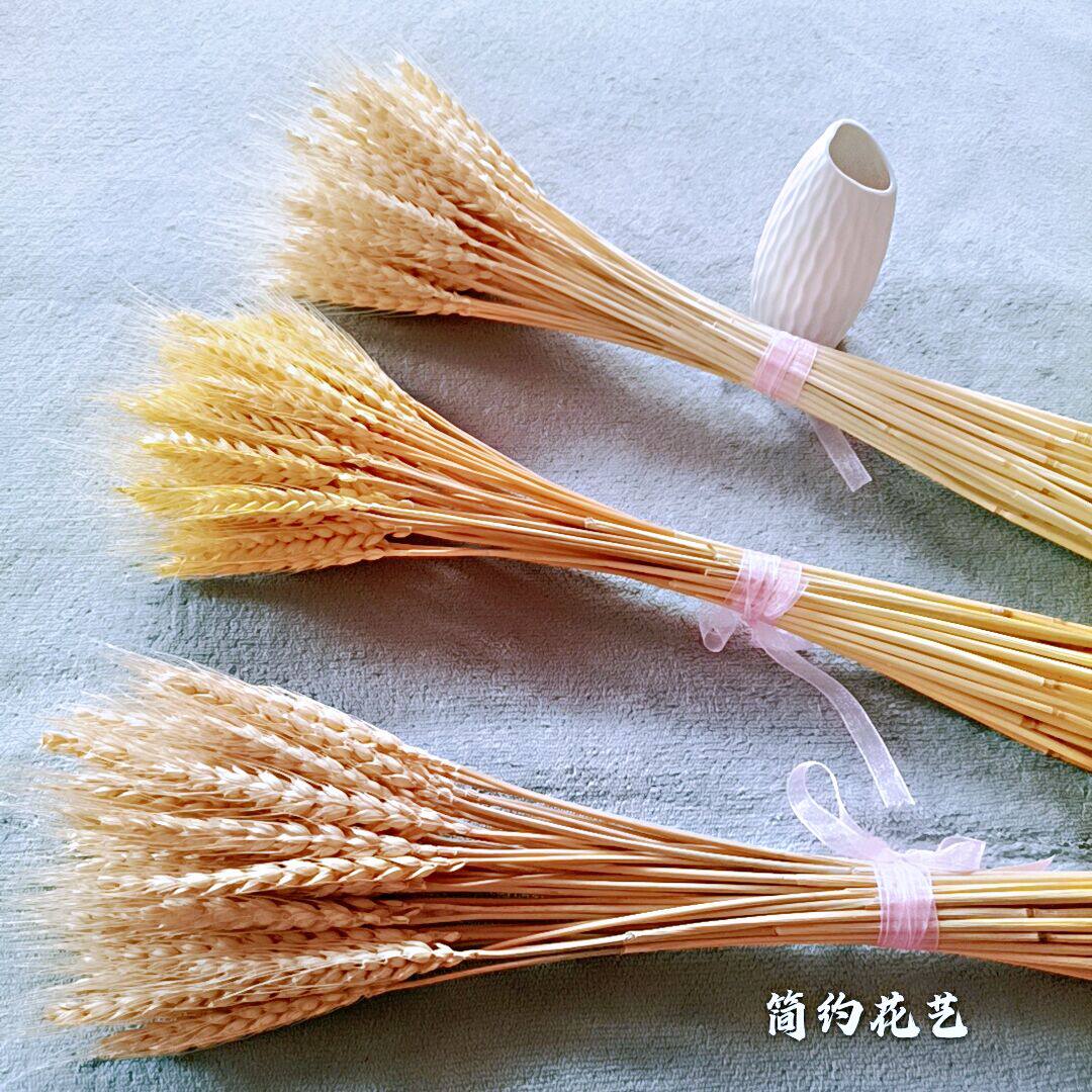 天然麦穗干花花束新品开业大麦田园装饰客厅摆件拍摄道具芦苇真花