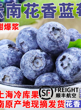 现摘 云南蓝莓鲜果新鲜水果孕妇怡颗蓝莓l25花香特大果 产地直发