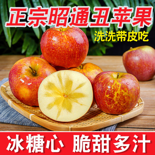 云南昭通市丑苹果正宗冰糖心苹果新鲜水果当季整箱孕妇红富士萍果