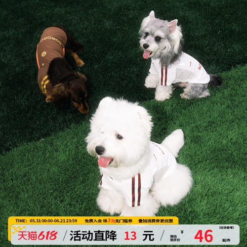 【江南先生&BORORO联名】户外遛弯凉感透气防晒运动狗狗宠物球衣