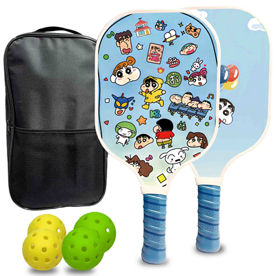 pickleball匹克球拍玻璃纤维初学者学生训练学校入门课程正品套装