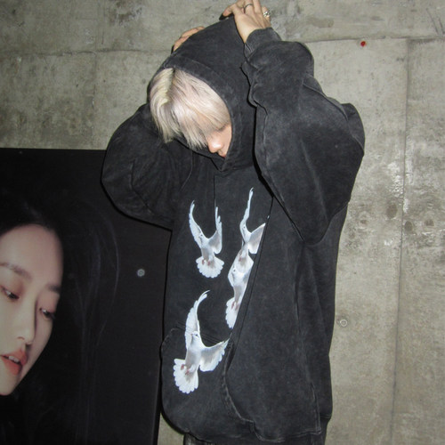 GENTNOBKIN 23AW和平鸽连帽卫衣男士秋冬水洗做旧宽松重磅上衣服