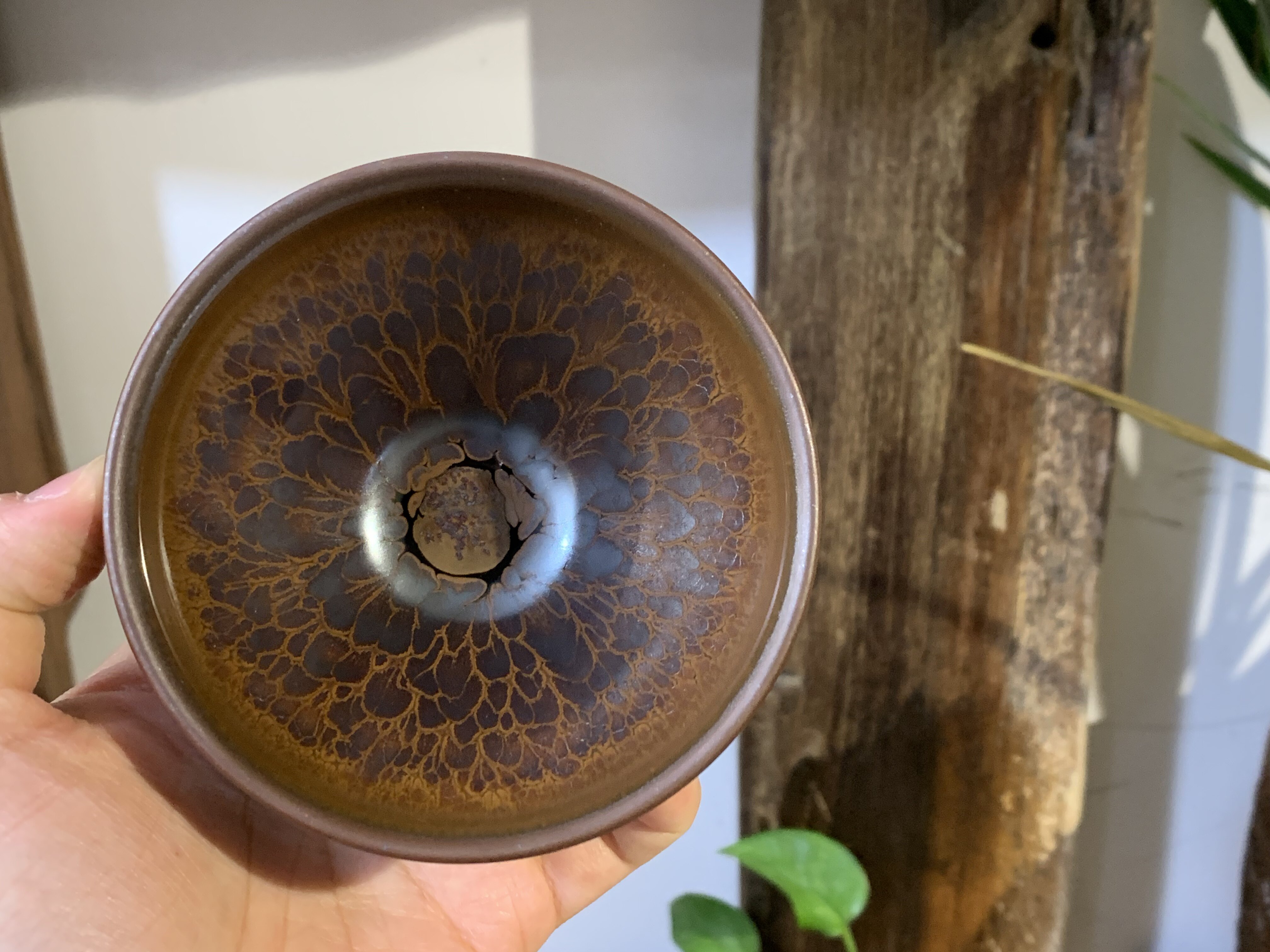 福建建阳建盏茶杯茶具主人杯陶瓷墨莲鹧鸪斑名家作品潘圣浩