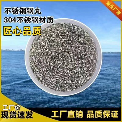抛丸机钢丸钢砂 304不锈钢钢丸0.2mm材料0.3抛丸0.5不锈钢丸高碳