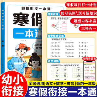 2026新版幼小衔接寒假作业一本通拼音数学语文幼儿园中大班学前班练习册全套每日一练幼升小一年级寒假假期衔接每日打卡入学早准备