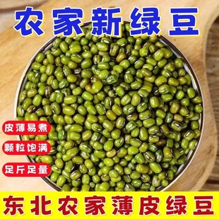 新货东北新绿豆农家五谷杂粮精品笨小绿豆发芽解暑绿豆汤浆正品