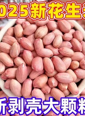 【香甜饱满】精选新鲜河南大颗粒生花生米花生仁当季大白沙无壳