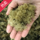 竹燕窝竹花竹荪宜宾土特产特级无硫熏红烧炒熬汤500g