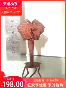 万代模型 奥特曼怪兽软胶 赛文奥特曼 比拉星人 办收藏模型