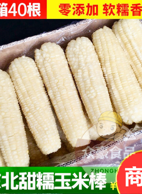 东北甜糯玉米棒 2号玉米40根 粘糯玉米棒早餐白色玉米棒子16-18cm