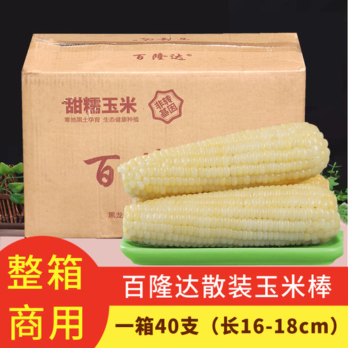 饱满吉林省甜糯玉米棒速冻40根