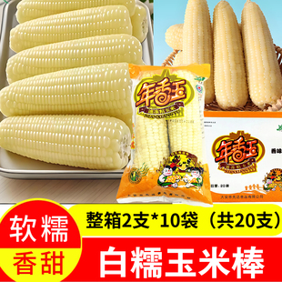 年香玉香味糯白糯玉米20根儿童嫩玉米家用软糯水煮清蒸东北粘玉米
