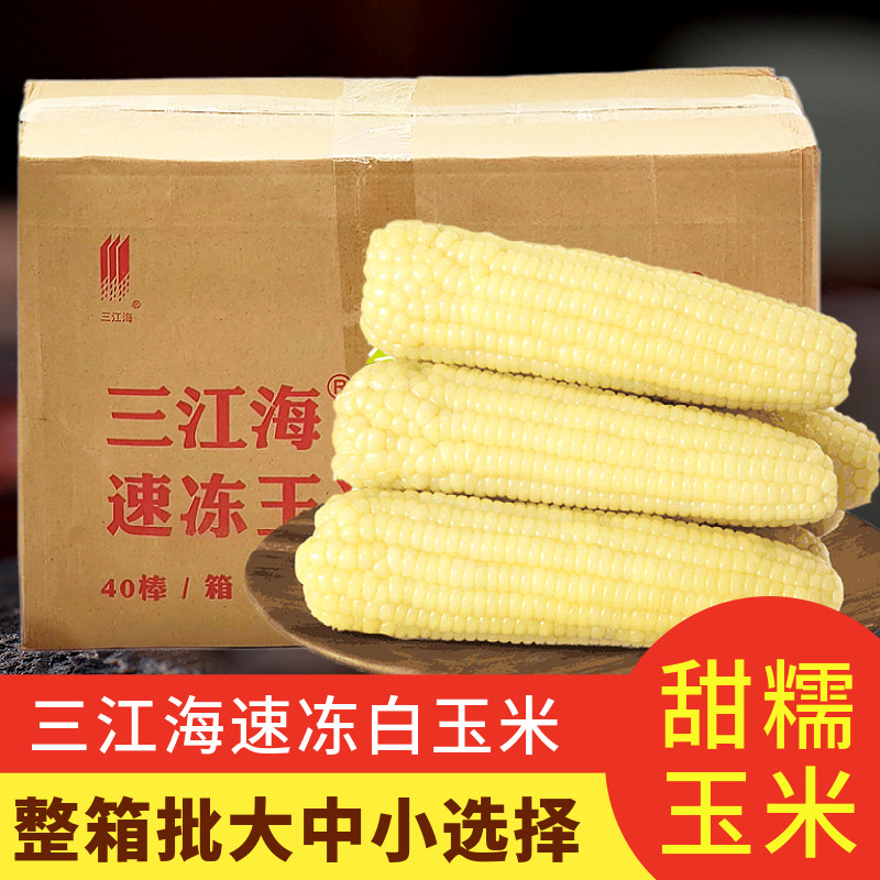 三江海玉米 甜糯白糯玉米 整箱40支 速冻粘玉米棒东北粘软糯苞米