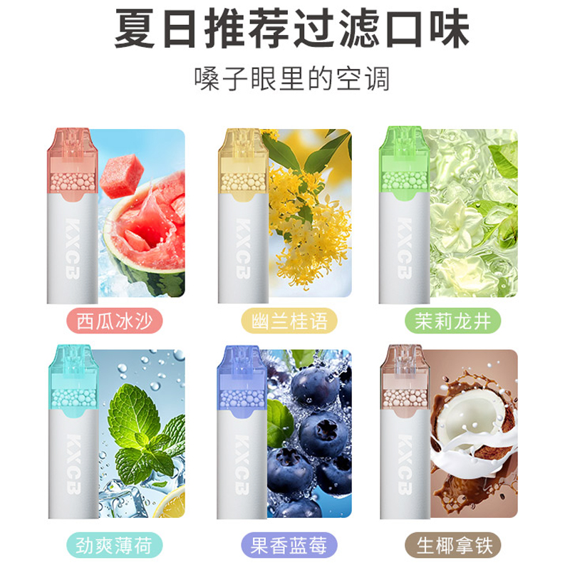 康絮草本水果味煙嘴濾毒清新口氣袪煙味過(guò)濾嘴粗中細(xì)通用薄荷提神