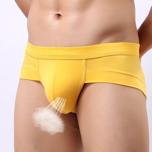 men's briefs underwear cotton man male三角短裤莫代尔男士内裤