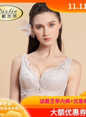 戴芝蒂调整型内衣 新品大码薄款全罩杯大胸显小聚拢夏女文胸73957