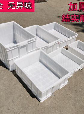 加厚白色塑料箱面团周转箱食品级带盖食品箱糕点面包转运箱养龟箱