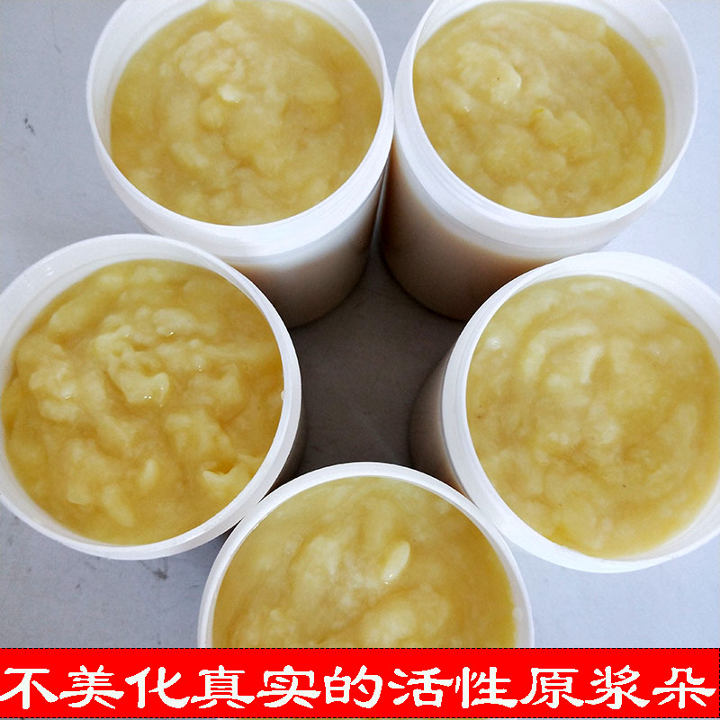2022春蜂王浆新鲜高活性 纯正蜜蜂王浆1斤顺丰包邮低产高质无添加