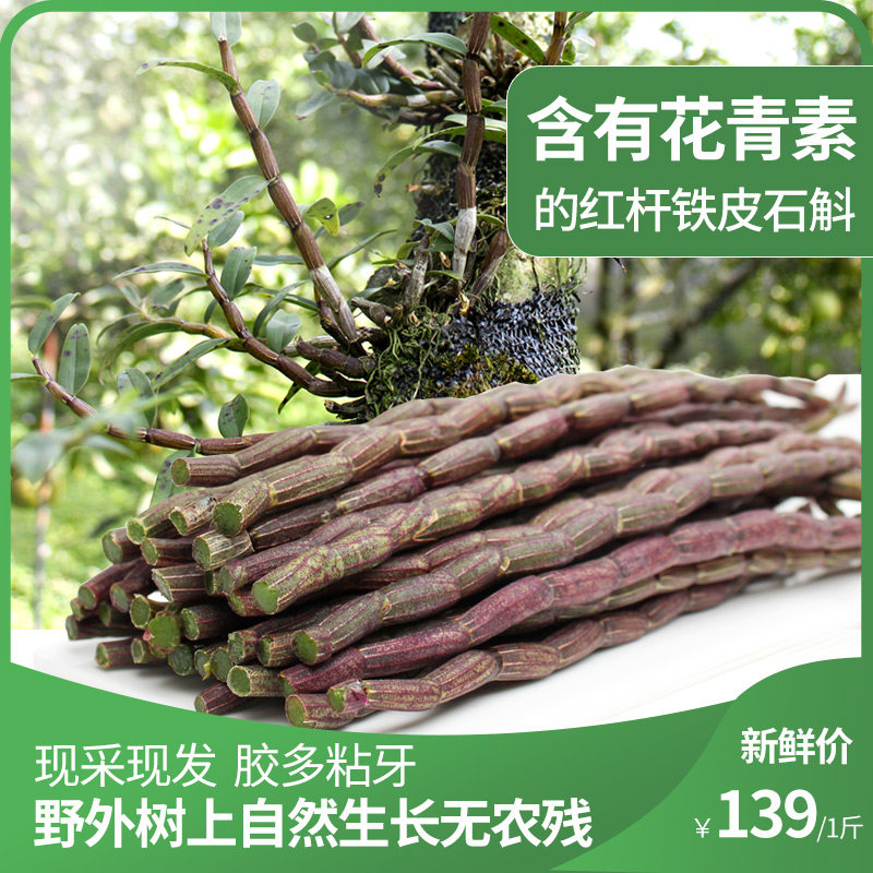 古箐宝云南特级红杆铁皮石斛鲜条500g新鲜仿野外铁皮石斛枫斗礼盒