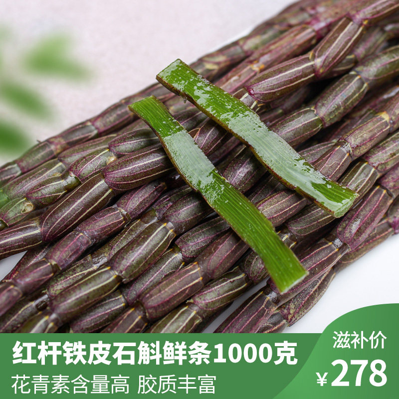 古箐宝云南红杆铁皮石斛鲜条500g 2份树生有机新鲜石斛鲜条 特级