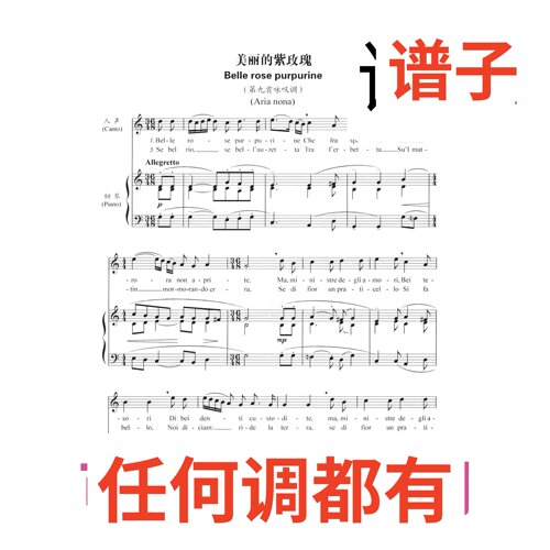 belle rose purpurine 美丽的紫玫瑰 7C伴奏谱正谱声乐
