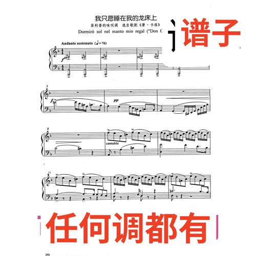 dormiro sol nel manto mio regal 8F伴奏谱正谱声乐