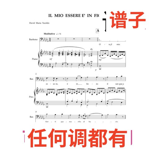 5bD ZOCCATELLI Il mio essere e' in fiore伴奏谱正谱声乐