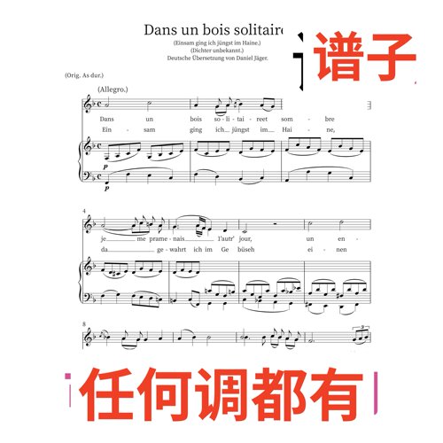 F5 Dans un bois solitaire伴奏谱正谱声乐