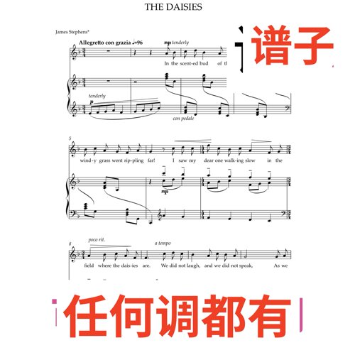 The Daisies2页F伴奏谱正谱声乐