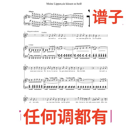 Meine Lippen sie kussen so heiss G6伴奏谱正谱声乐