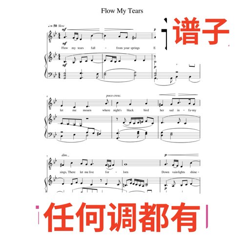 Flow_My_Tears 5bB伴奏谱正谱声乐