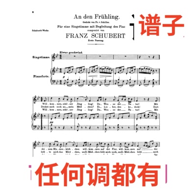 原件bB An Den Fruhling2页伴奏谱正谱声乐