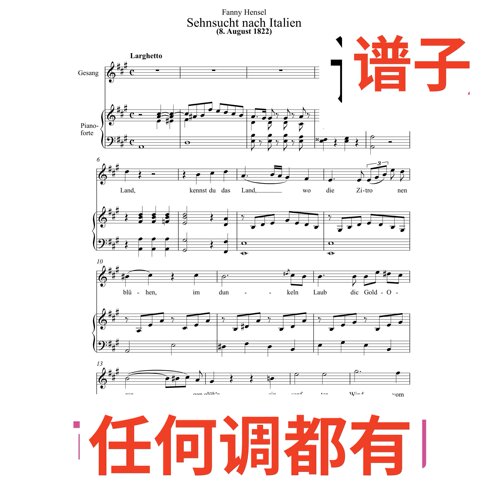 Sehnsucht nach Italien3页_A伴奏谱正谱声乐