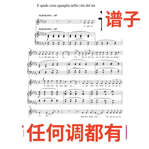 4-E quale cosa eguaglia nella vita del mio 3bD伴奏谱正谱声乐