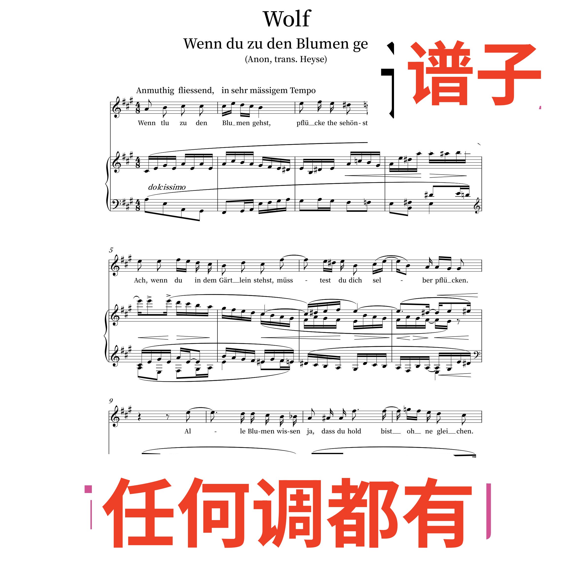 3A Wenn du zu den Blumen gehst伴奏谱正谱声乐