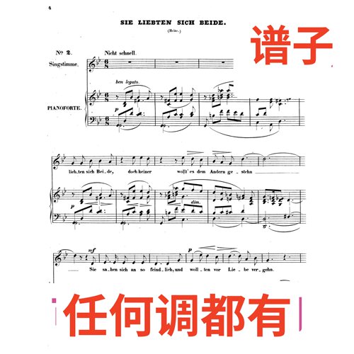 02 sie liebten sich beide 2bB伴奏谱正谱声乐