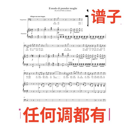 娶妻的习俗 Il modo di prender moglie 7C伴奏谱正谱声乐
