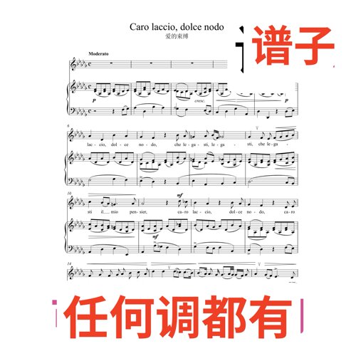 爱的束缚caro laccio dolce nodo 2bD伴奏谱正谱声乐