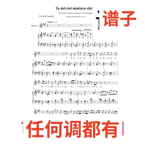 正谱A2 Tu del ciel ministro eletto伴奏谱正谱声乐