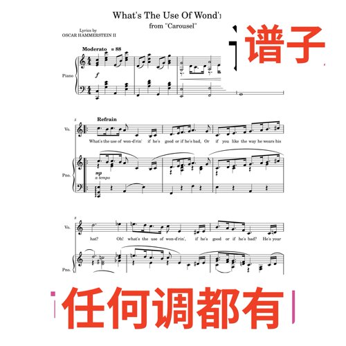 5C Whats_The_Use_Of_Wondrin伴奏谱正谱声乐