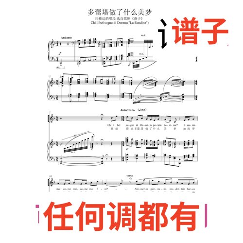 02 chi il bel sogno di doretta 3页F伴奏谱正谱声乐