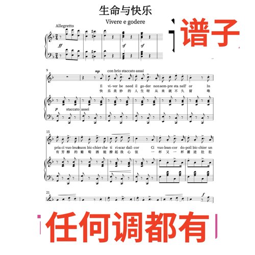 F生命与快乐 Vivere e godere 4伴奏谱正谱声乐