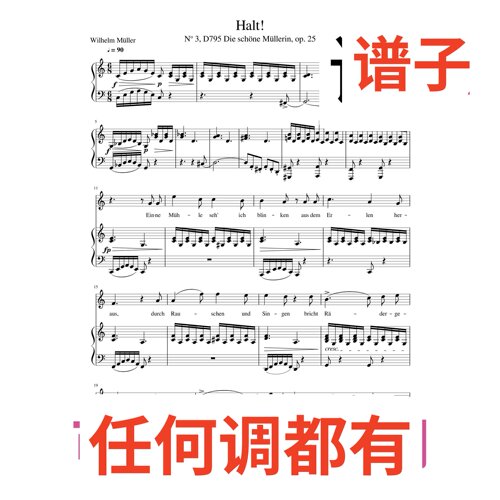 Halt 止步 停步 3C伴奏谱正谱声乐