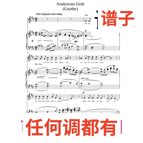 3D wolf anakreons grab goethe 3页伴奏谱正谱声乐