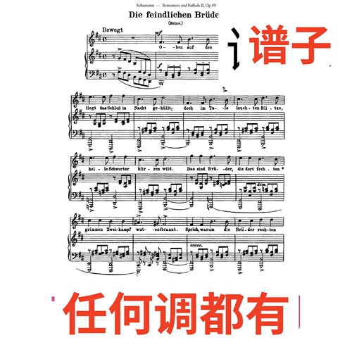 die feindlichen bruder 舒曼49-2 4D伴奏谱正谱声乐