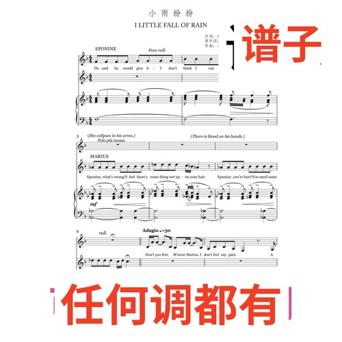 6F I LITTLE FALL OF RAIN伴奏谱正谱声乐