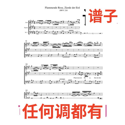 原件A Flammende Rose, Zierde der Erden 4伴奏谱正谱声乐