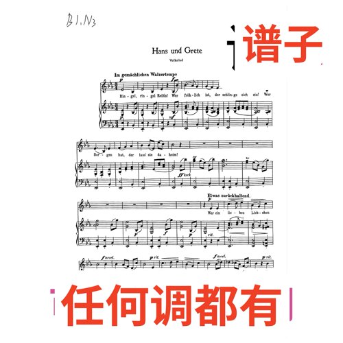 02 hans und Grete 3bE伴奏谱正谱声乐