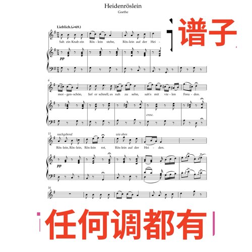 Heidenröslein2页_G伴奏谱正谱声乐
